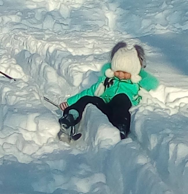 IMG_20190215_112812.jpg