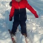 IMG_20190215_112927.jpg